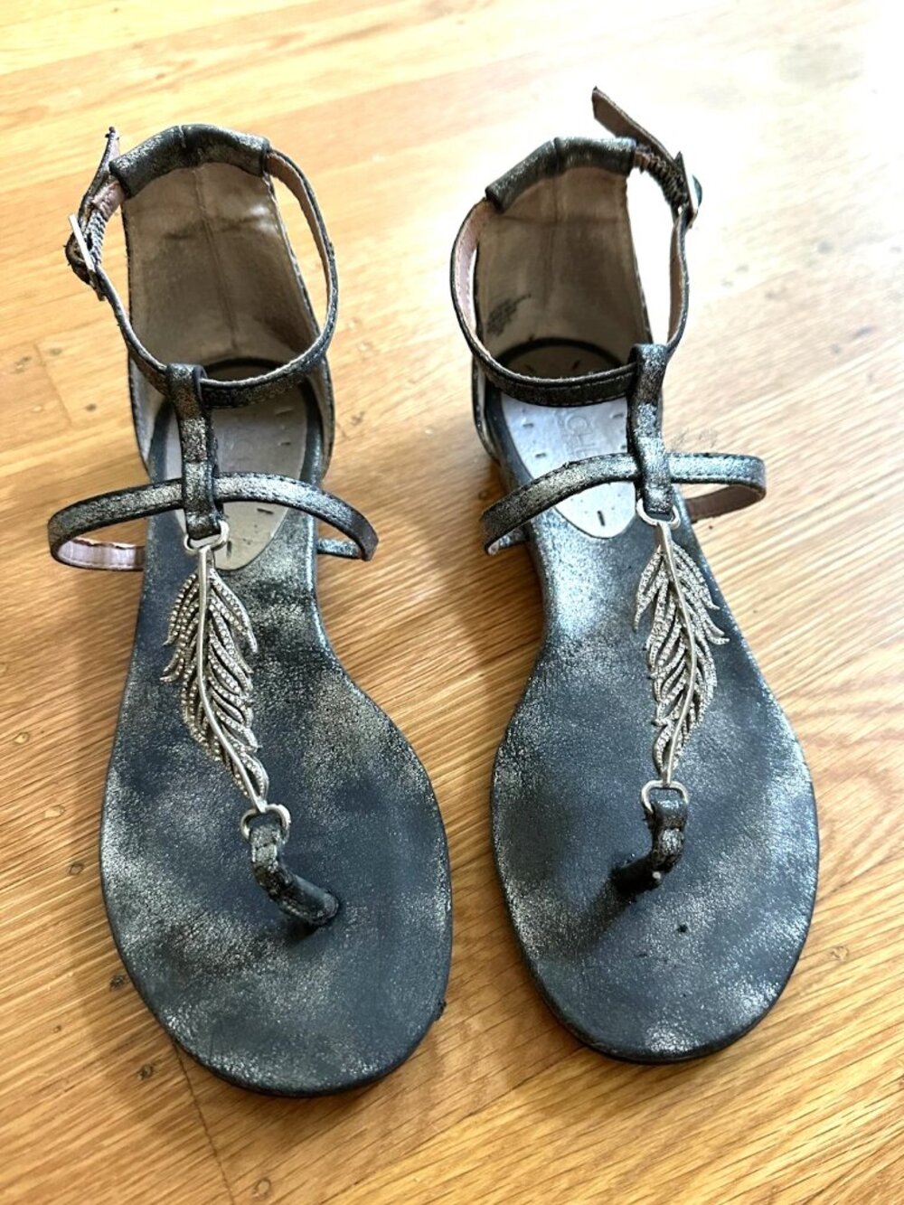 RACHEL by Rachel Roy Silver Metallic Strapped Gladiator Thong Sandals Sz 5.5